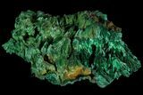 Unique Fibrous Malachite Cluster - Congo #81771-1